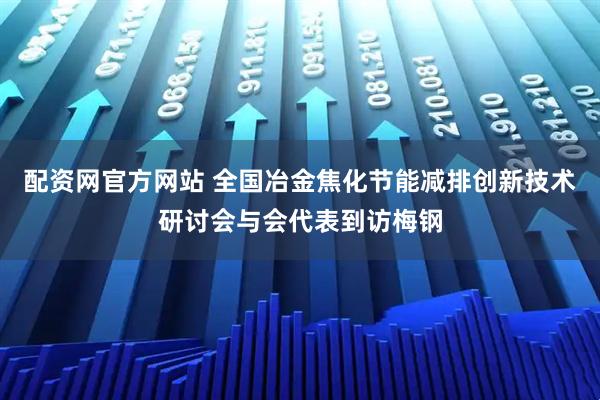 配資網官方網站 全國冶金焦化節能減排創新技術研討會與會代表到訪梅鋼