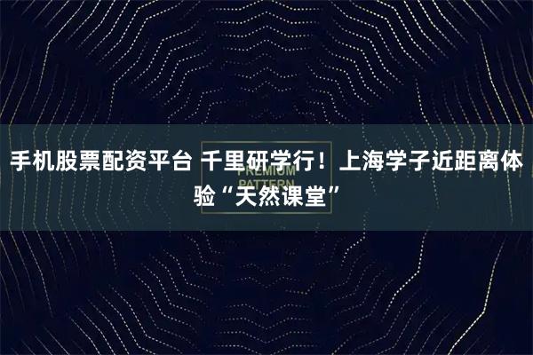 手機股票配資平臺 千里研學行！上海學子近距離體驗“天然課堂”